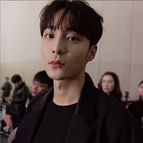 로이샾 이미지