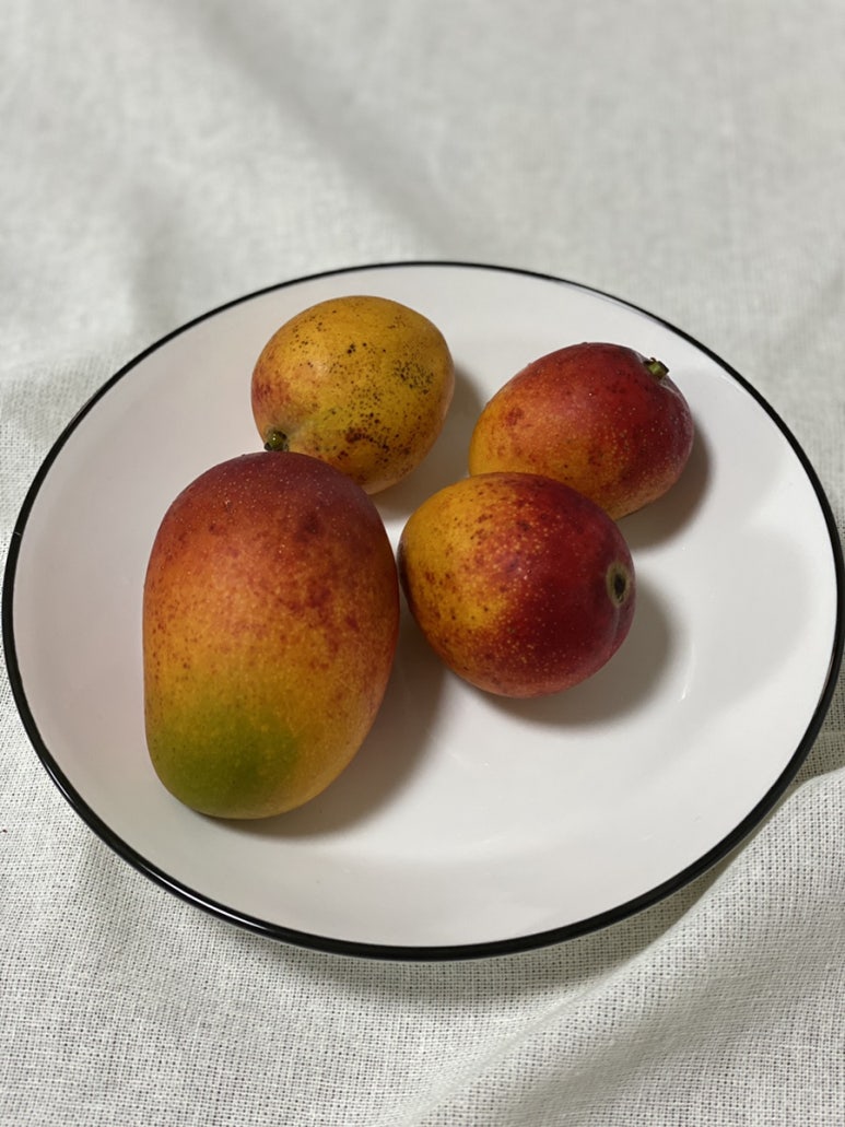 우리동네과일맛집 이미지
