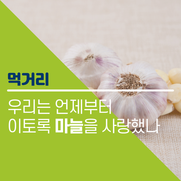 재단법인 남해마늘연구소 이미지
