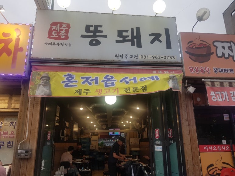 제주토종똥돼지 이미지