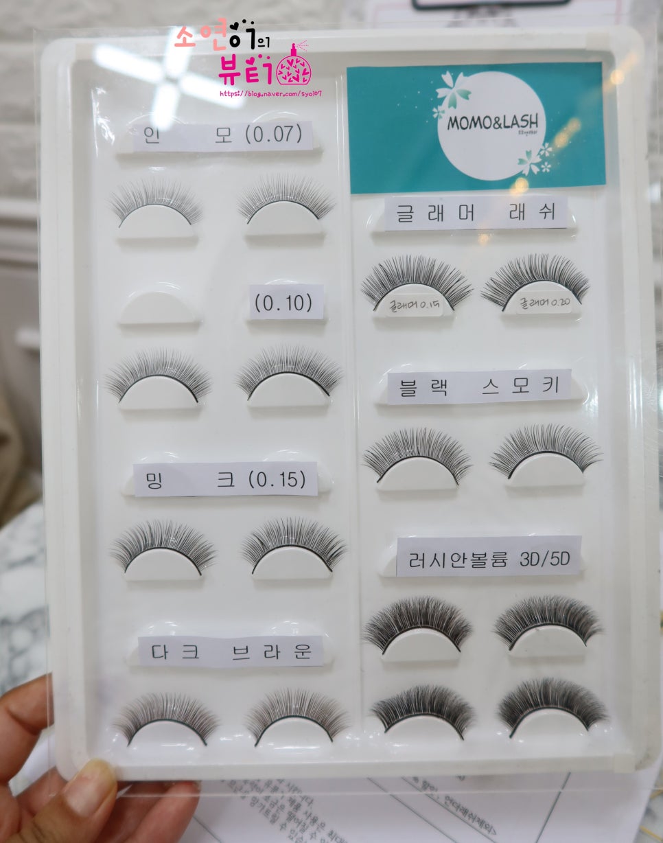 모모앤래쉬 이미지