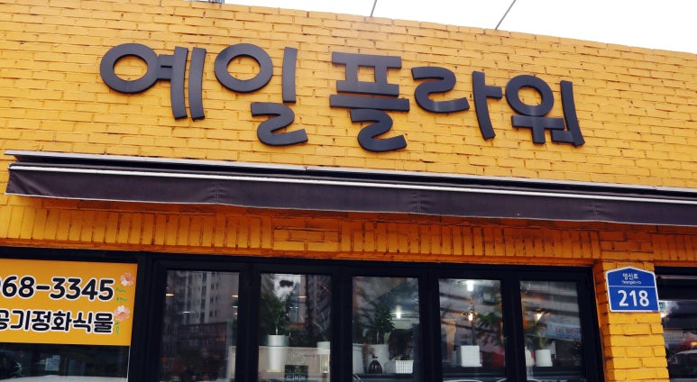예일플라워 이미지