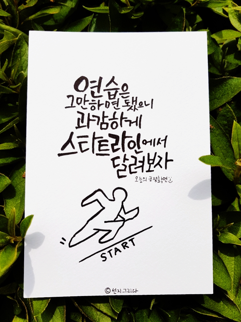 선지그리다 이미지