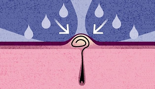 인헤어(in-hair) 이미지