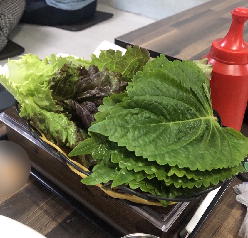 대물회 이미지