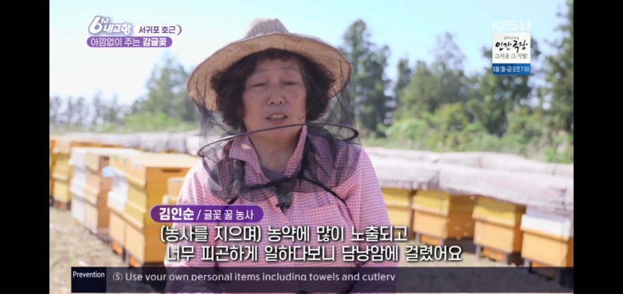 김인순의허니제주 이미지