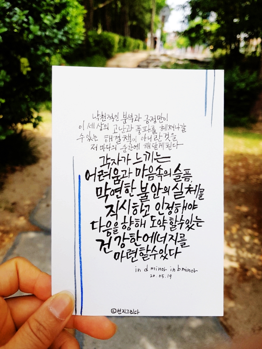 선지그리다 이미지