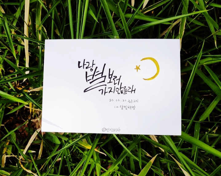 선지그리다 이미지