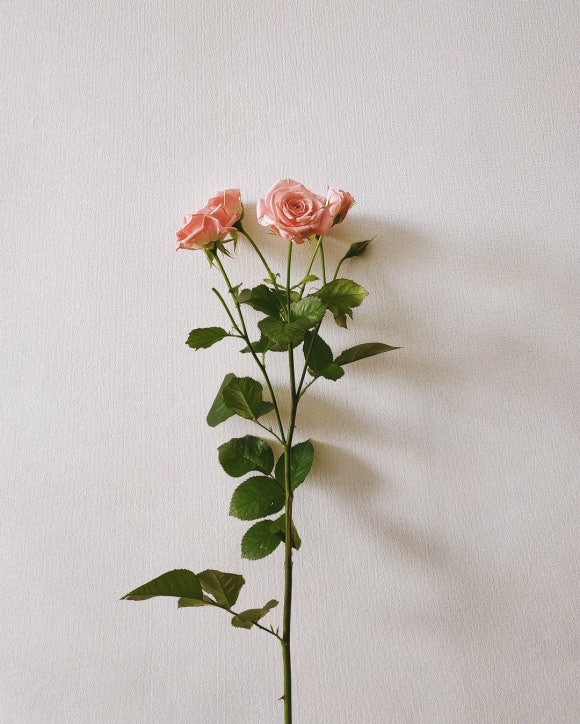 연세프라임병원 이미지
