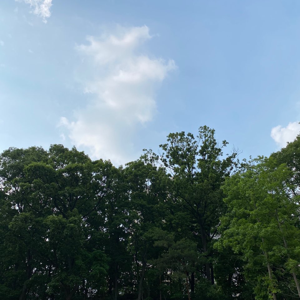 힐링 플러스 이미지