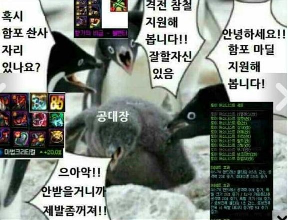 양이야기 이미지