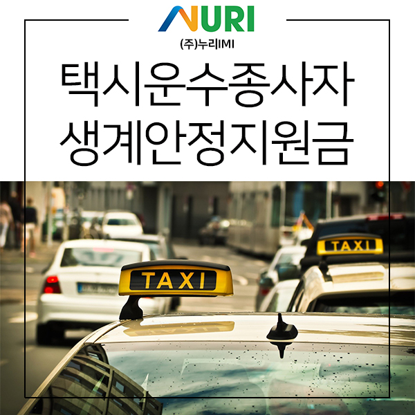 누리컨설팅주 이미지