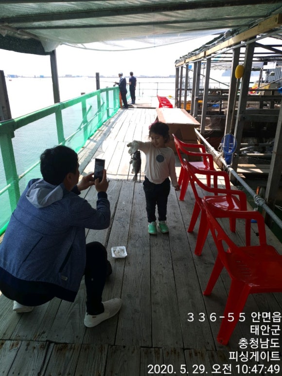 피싱게이트 이미지