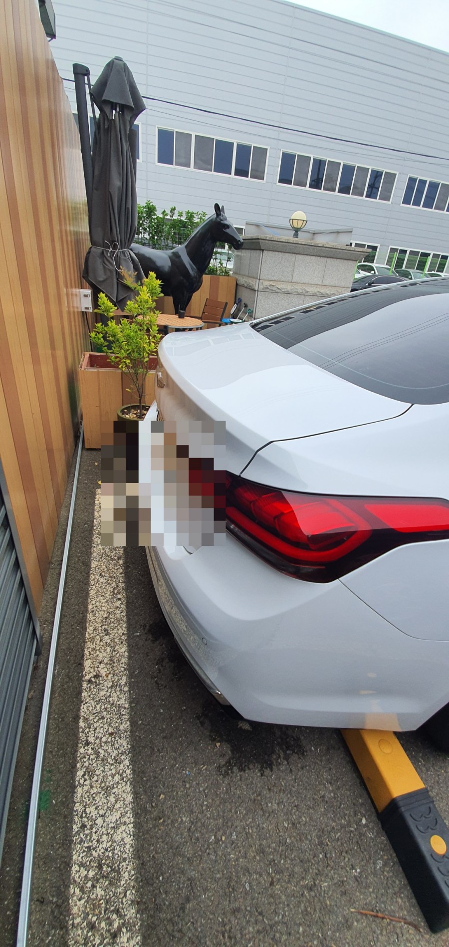 국가대표스팀세차시흥 이미지