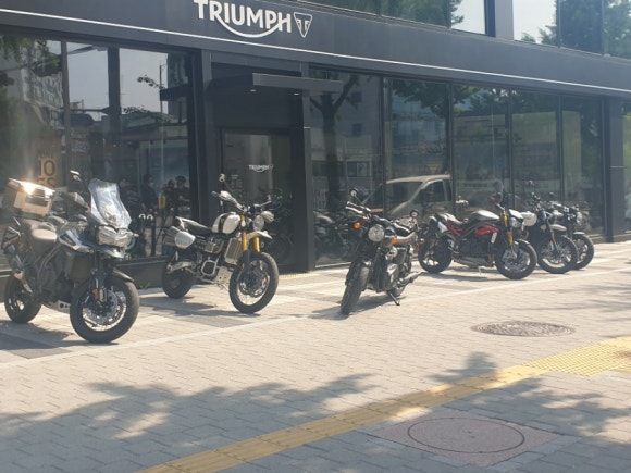 트라이엄프로지스 이미지
