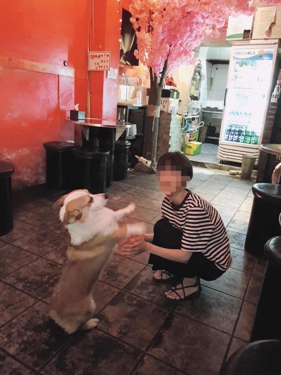 나나포차 이미지