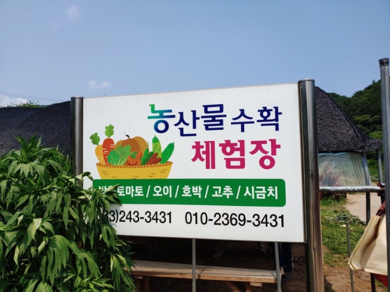원평팜스테이마을 이미지