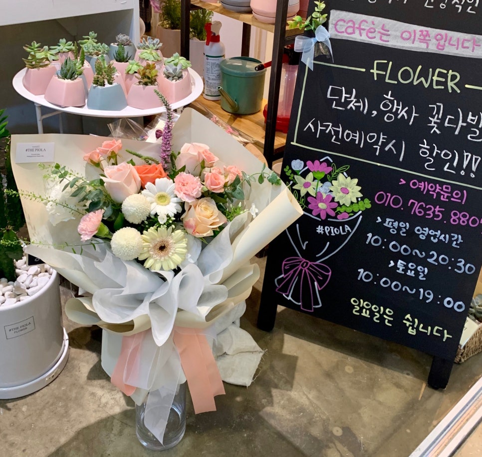 꽃피올라 이미지