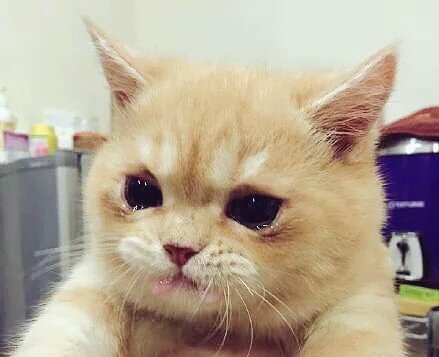 허수아비컴퓨터 이미지
