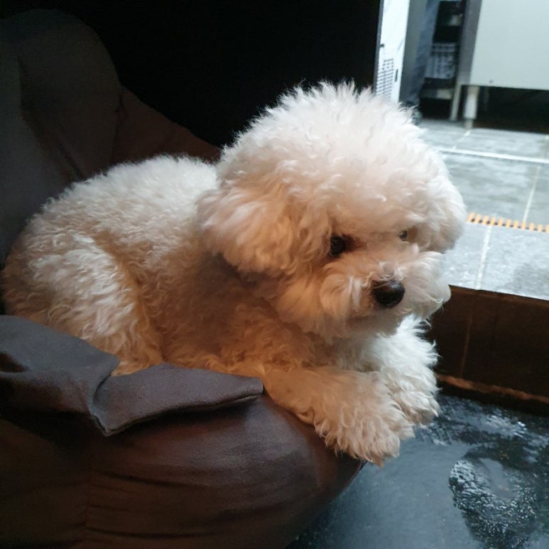 범스피자 이미지