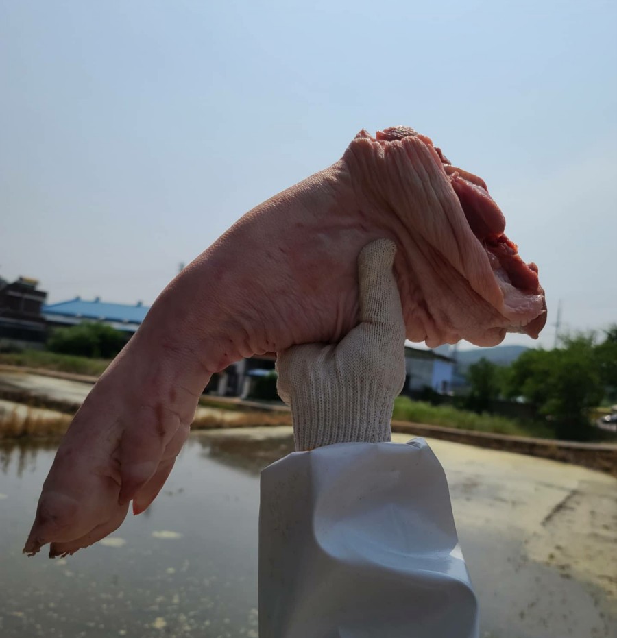 한진축산 이미지