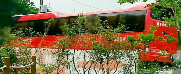 세원고속관광 이미지
