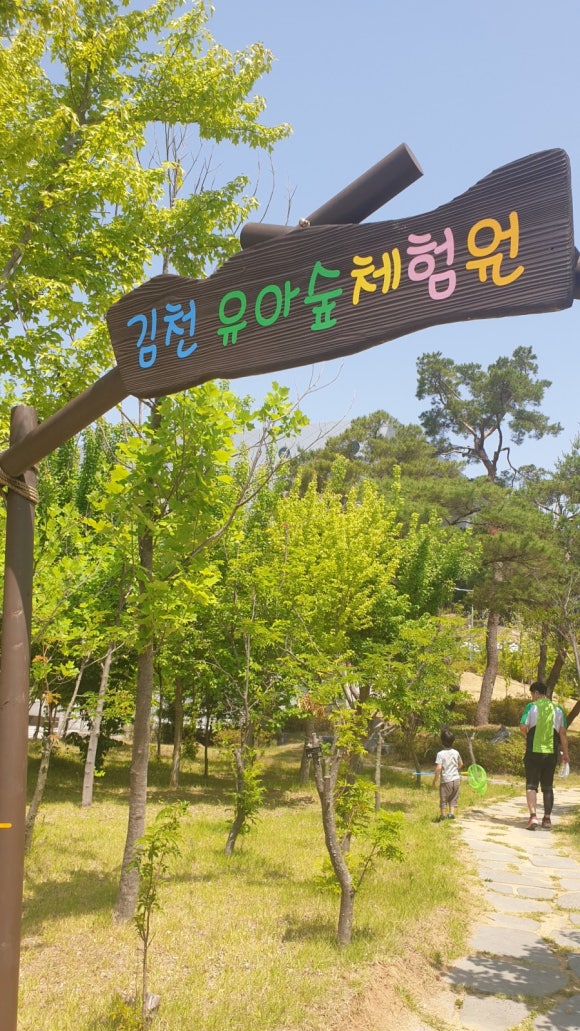 김천 유아숲체험원 이미지