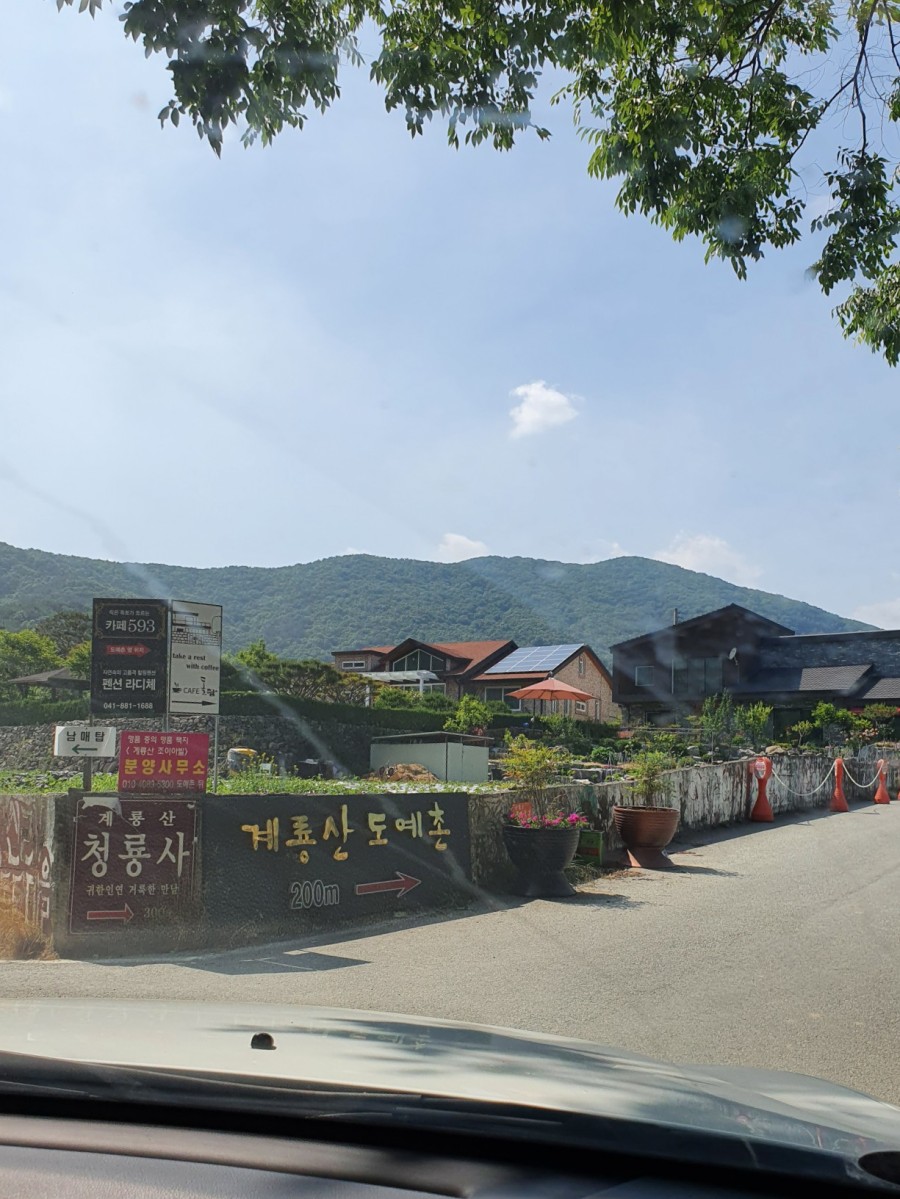 공주 애견펜션 '개인공간', 프라이빗한 계룡산 힐링 여행 — 사진 3