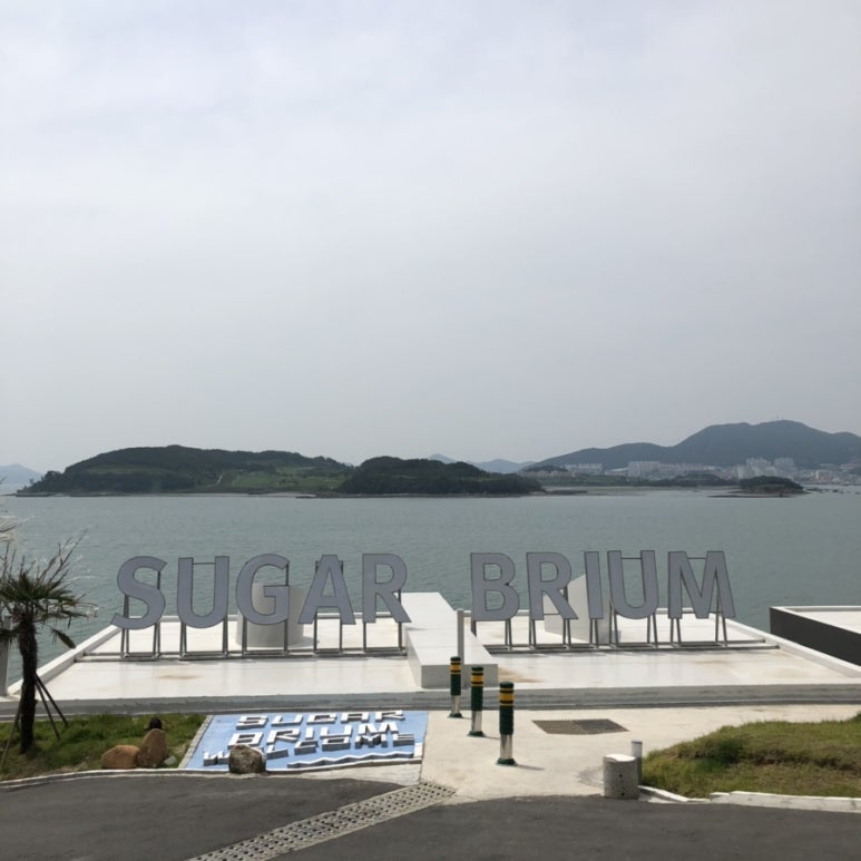브리움 BRIUM 이미지