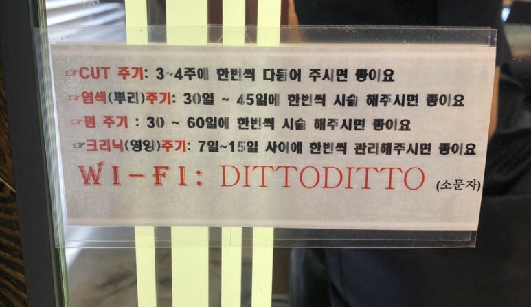 더디토헤어 이미지
