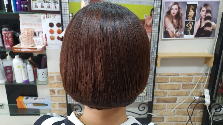 박정숙미플러스 이미지