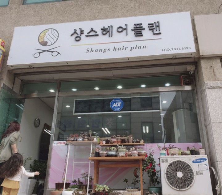샹스헤어플랜 이미지