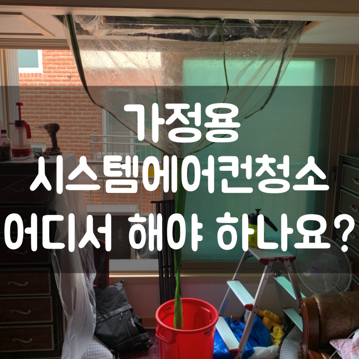 크리니트S 이미지