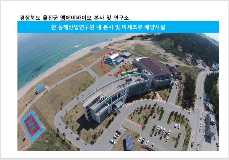 엠에이 이미지