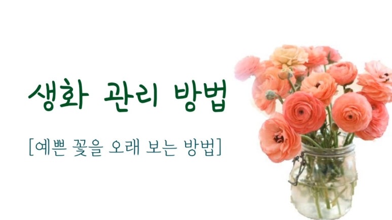 라넌에이미 이미지