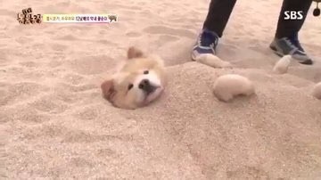 정신상회 이미지