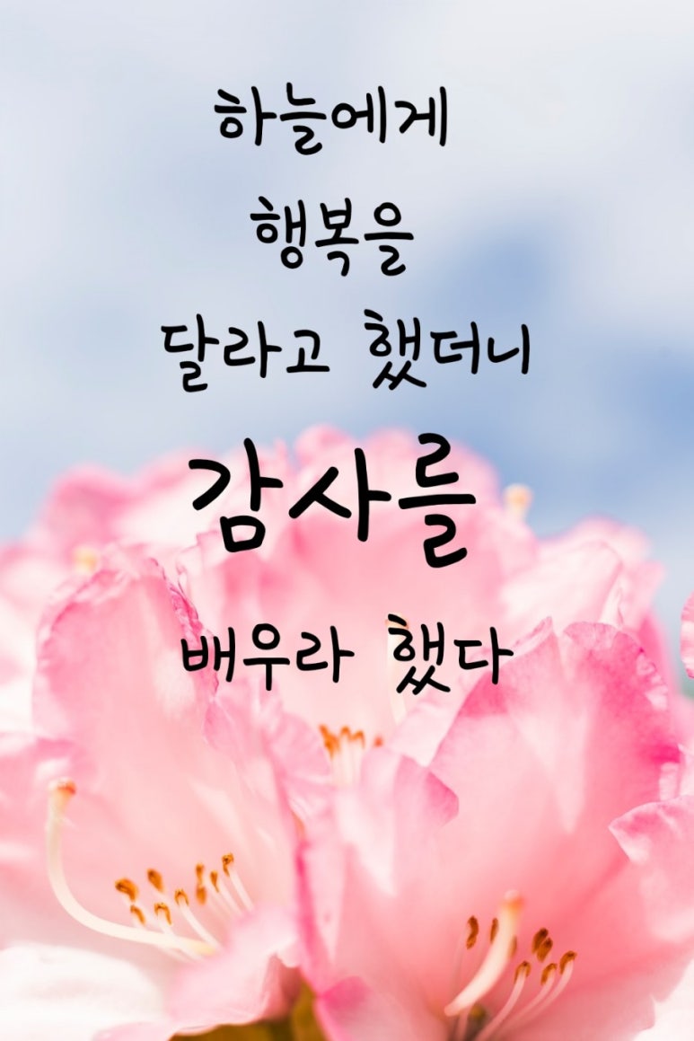 더해빙 이미지