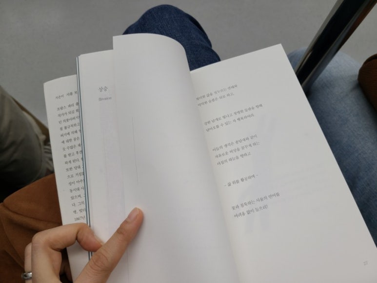 알비소파 이미지
