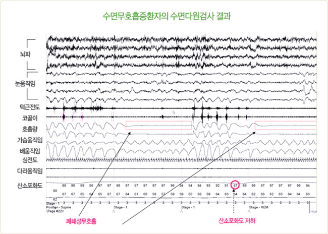 다원렌탈 이미지