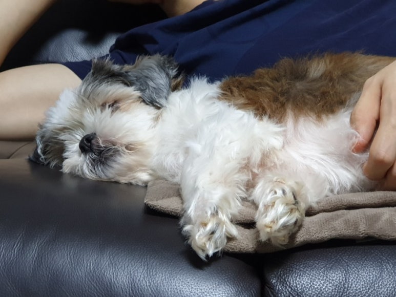 태수갤러리 이미지