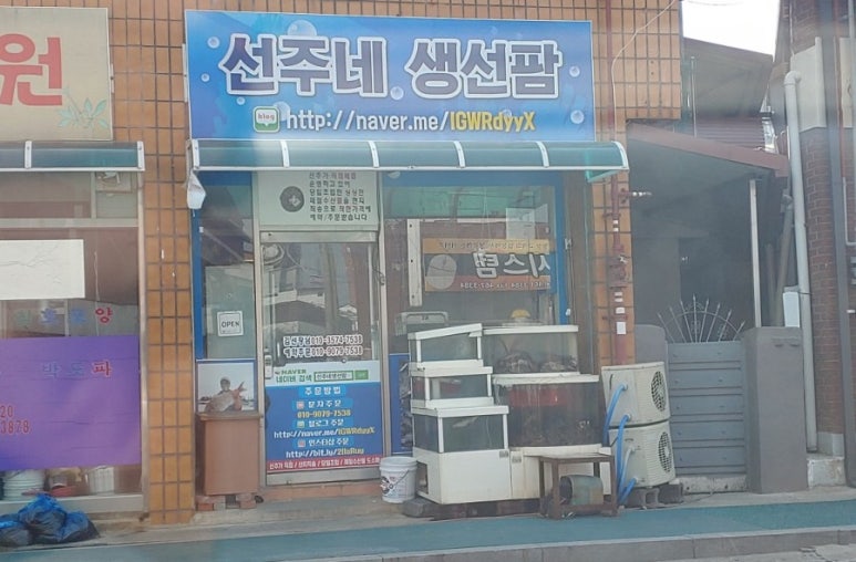선주네 생선팜 이미지