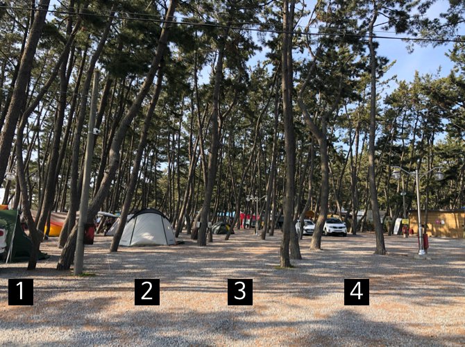몽산포감성캠핑장 이미지