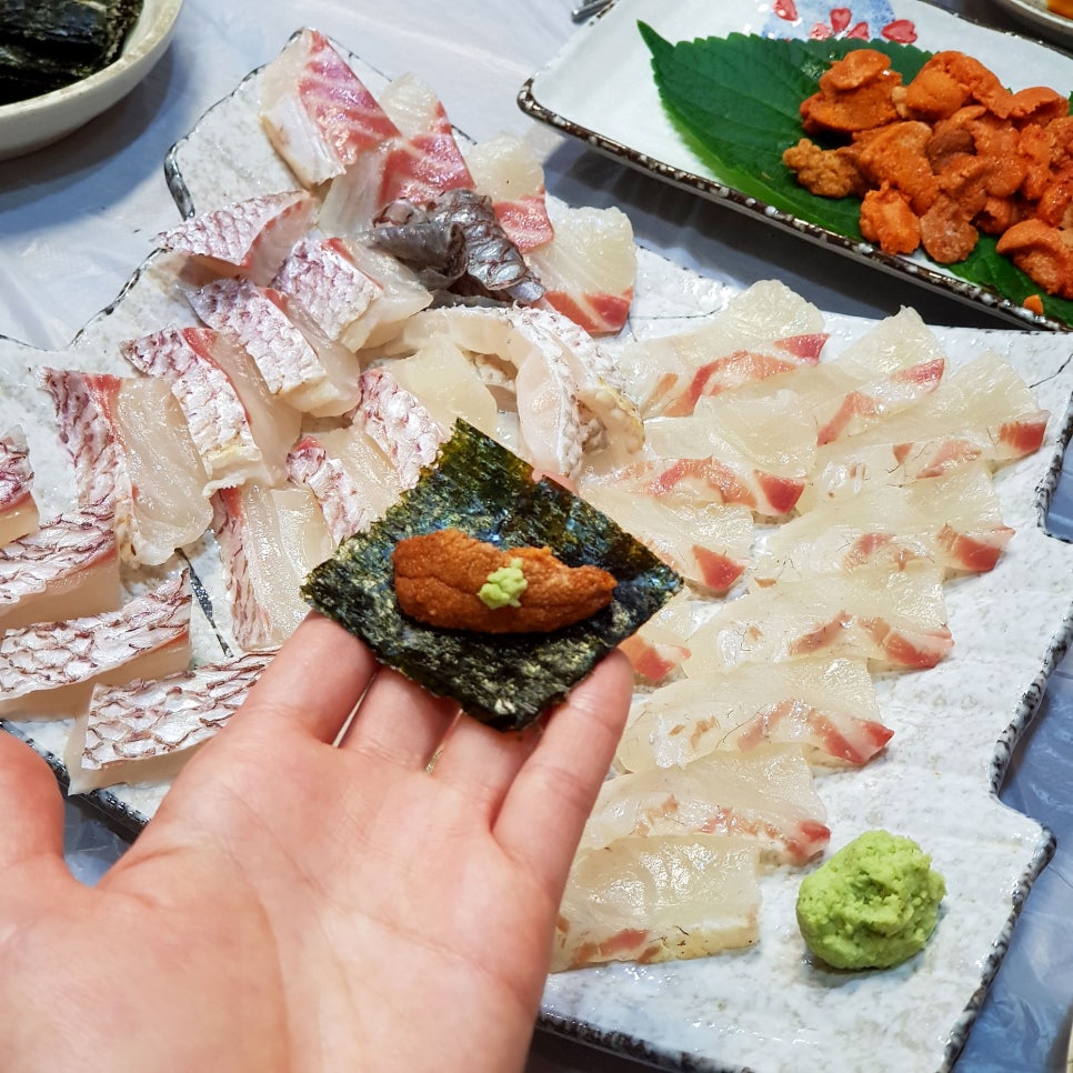 바다마차 이미지