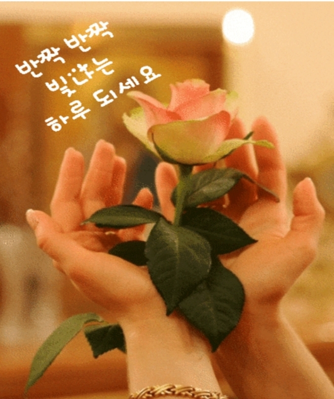 마이스토리 이미지
