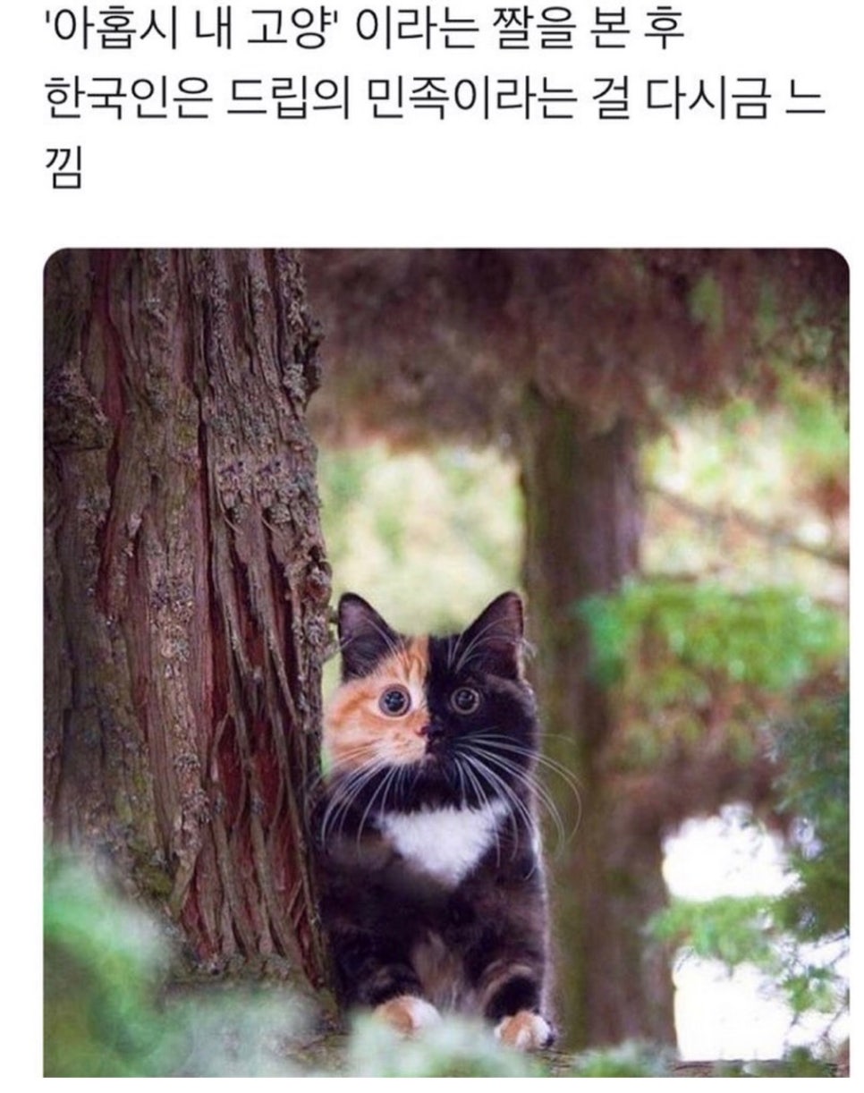 대박만두 이미지