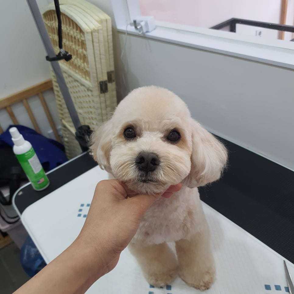 송아미용실 이미지