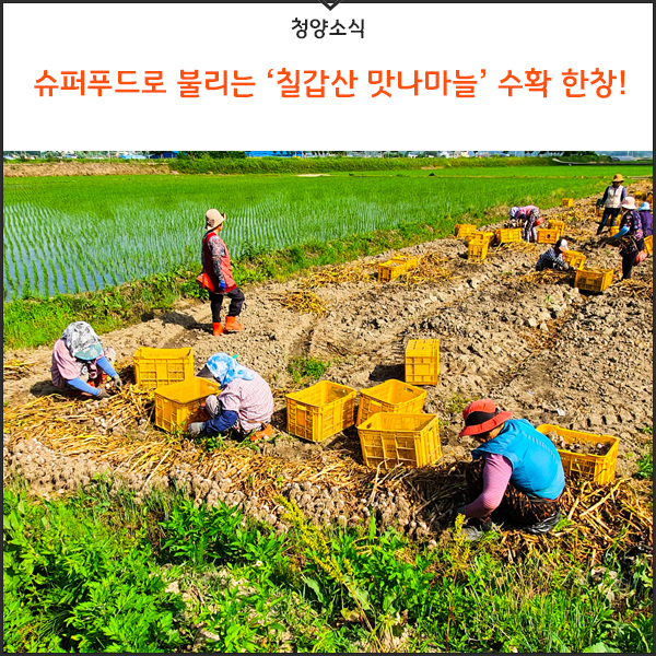칠갑산슈퍼 이미지