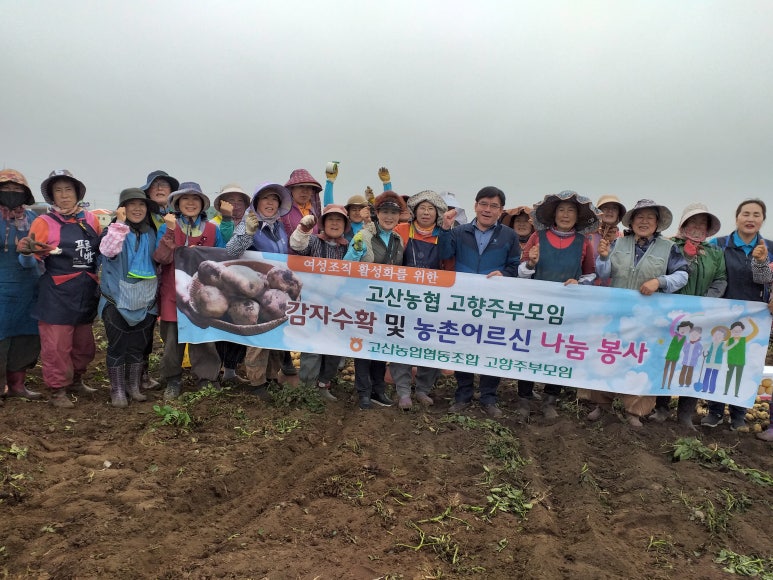 행복한감자 이미지