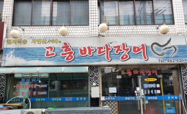고흥바다장어 이미지
