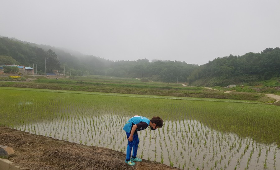 무창포솔원캠핑장 이미지